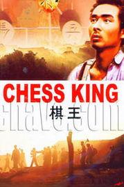棋王电影在线观看,在线观看，领略国粹围棋的魅力