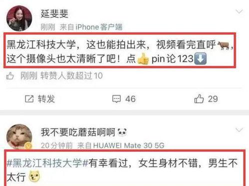 最新黑科大爆料,揭秘校园风云与学子心声”