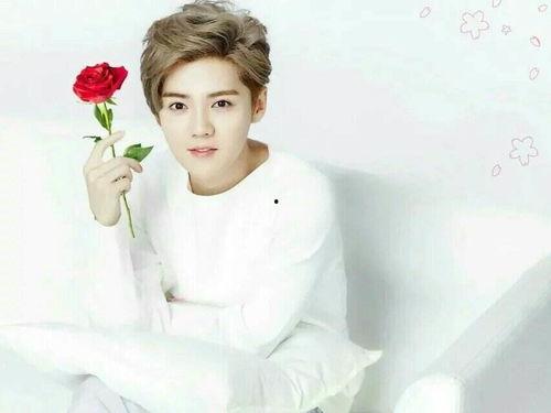 我喜欢的明星是鹿晗,探寻鹿晗的璀璨魅力