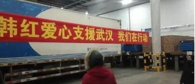 网红武汉捐赠,助力抗疫物资捐赠行动