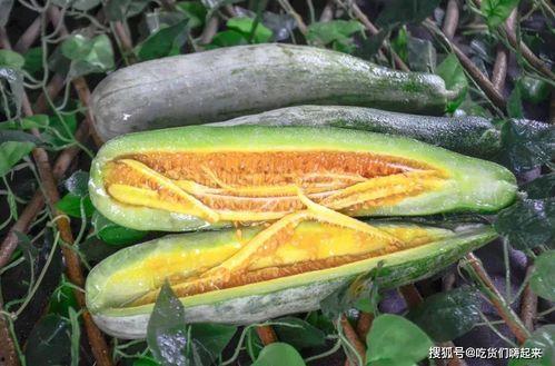 网红向靖什么瓜,背后真相令人震惊