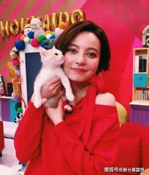 嫁给粉丝的女明星,揭秘嫁给粉丝的女明星甜蜜故事