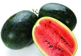 专业吃瓜bot,专业吃瓜bot带你领略幕后风云