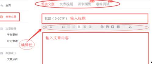 头条美文领域内容是什么