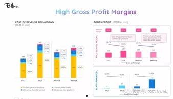 网红公司的成本构成,揭秘流量经济背后的秘密