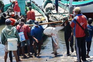 印尼网红野外生存事件