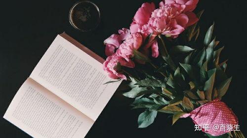 做头条如何选领域呢,如何选择热门领域