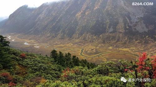 深圳网红户外徒步线路,探寻城市绿肺的秘境之旅