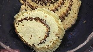 吃瓜的虫子怎么杀猪,揭秘杀猪绝招