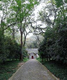 禅房花木今日头条,今日头条带你领略禅房之美