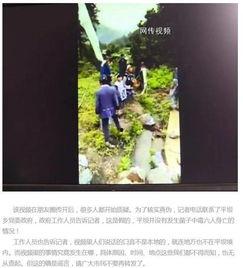 野生菌爆料视频大全集播放,探寻菌林奥秘，尽享美味之旅