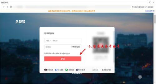 宝麻胖吉的头条号,揭秘网红背后的故事与成长历程